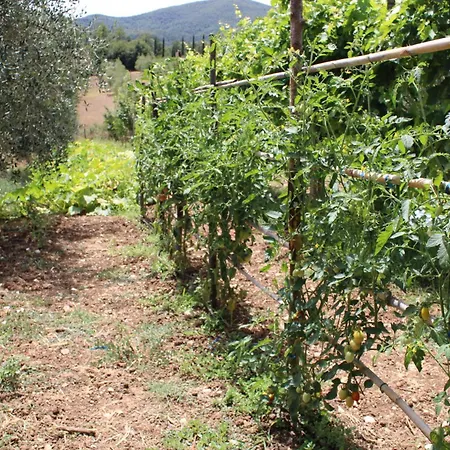 Сasa de vacaciones Alle Preci