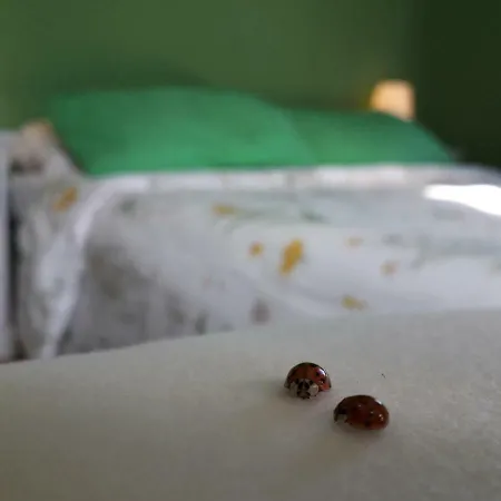 Alle Preci * Santa Restituta