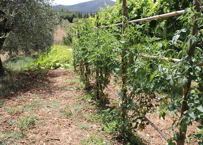 Prázdninový dům Alle Preci