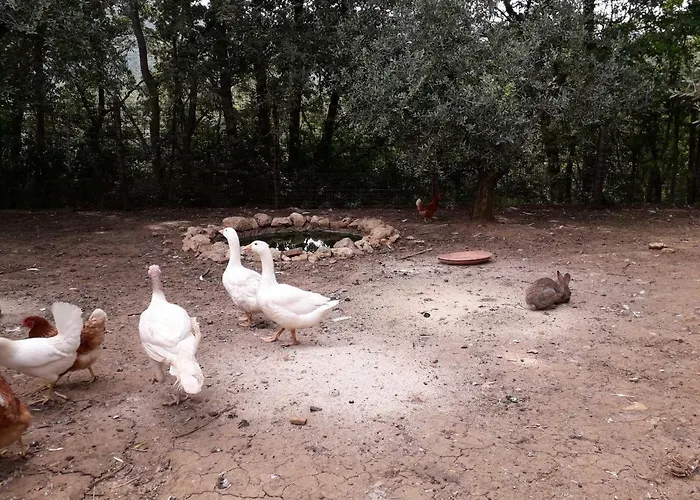 Alle Preci Prázdninový dům *